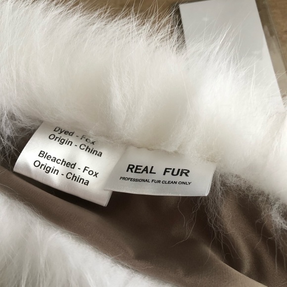 FOX - Picture 9 of 16